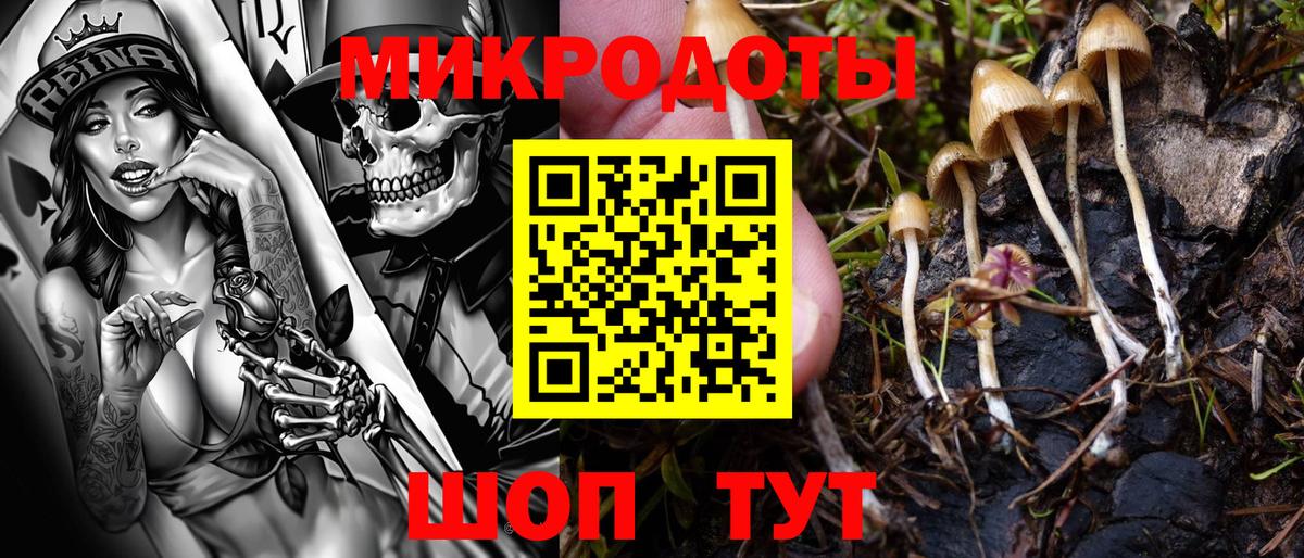 Карачаевск  Псилоцибиновые грибы GOLDEN TEACHER  Вход с VPN 