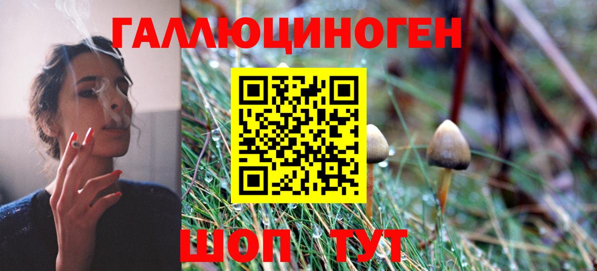 Псилоцибиновые грибы мицелий Карачаевск